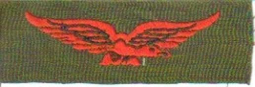 British  ROYAL AIR FORCE Jungle/ tropical Patch