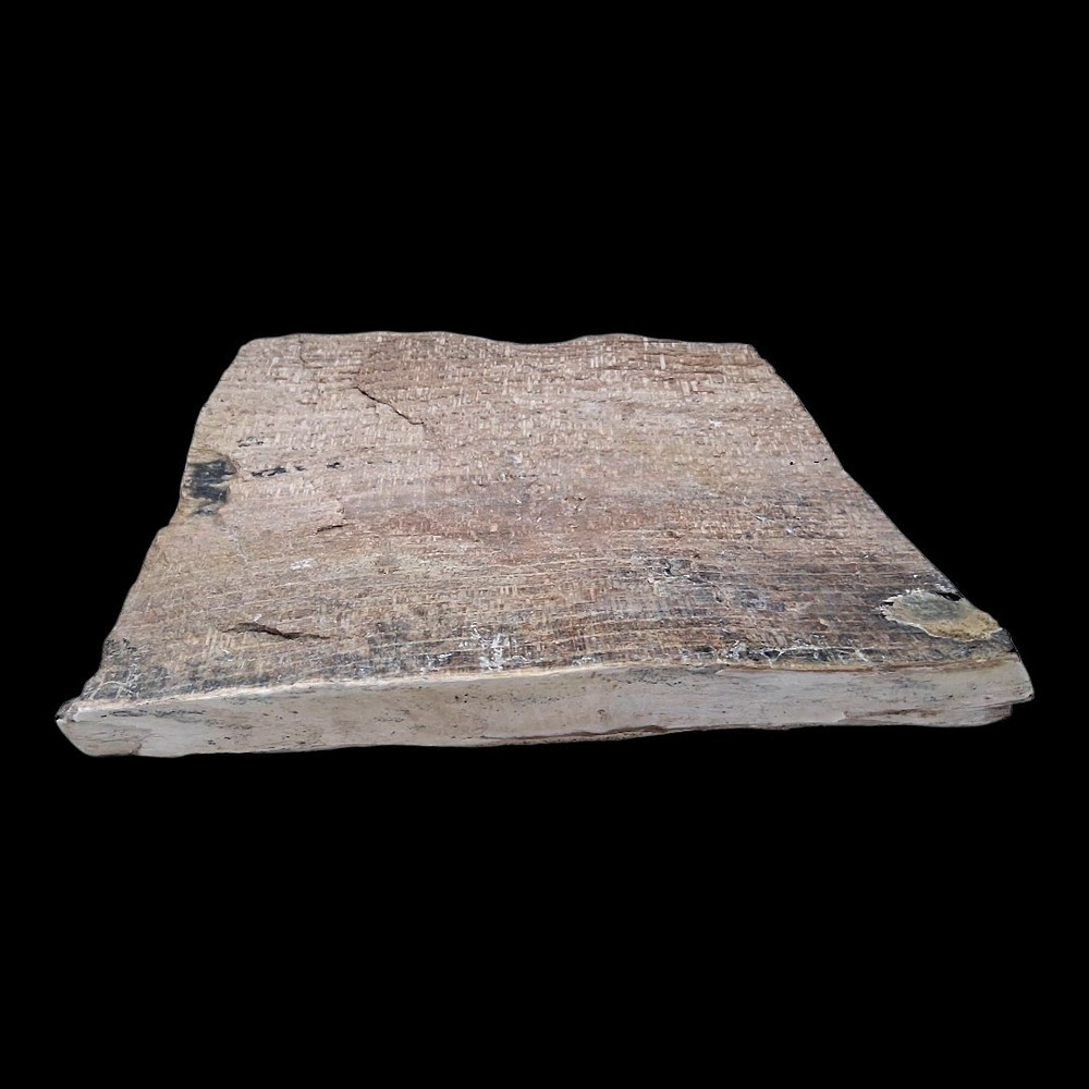 Petrified Wood (Opalized & Agatized) Specimen (5/5)