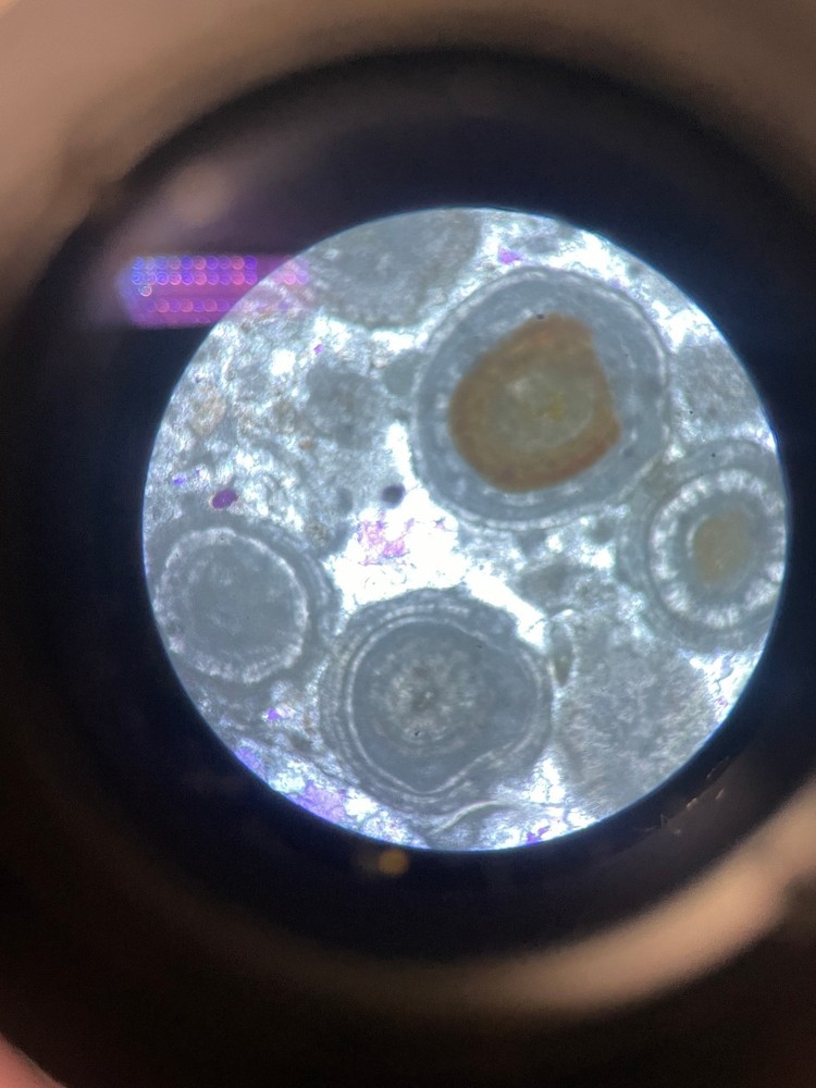 Polarized microscope mineral rock slicing Eight slides flake