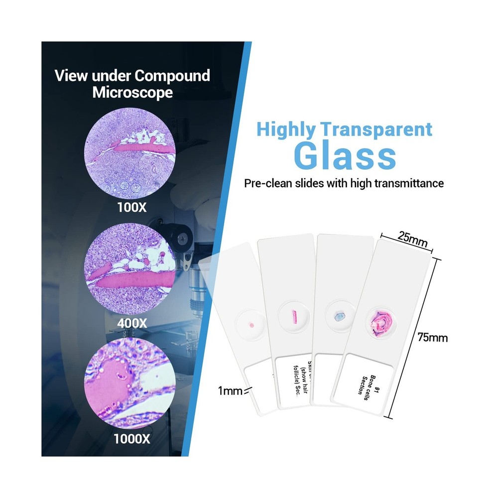 100Pcs Prepared Microscope Slides Set Professional Specimens for Kids Student...