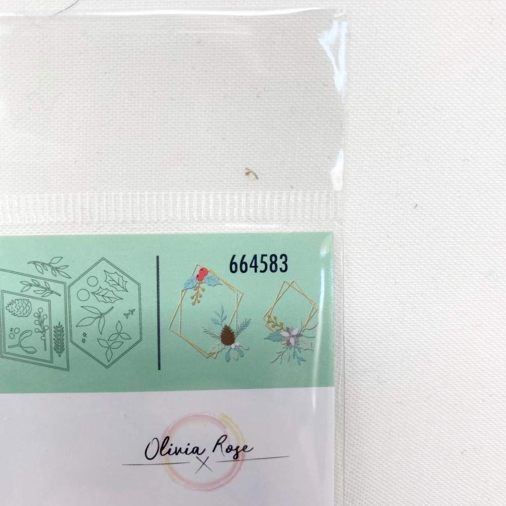 Sizzix Thinlits Geometric Winter Frame Cutting Dies by Olivia Rose 664583 NEW