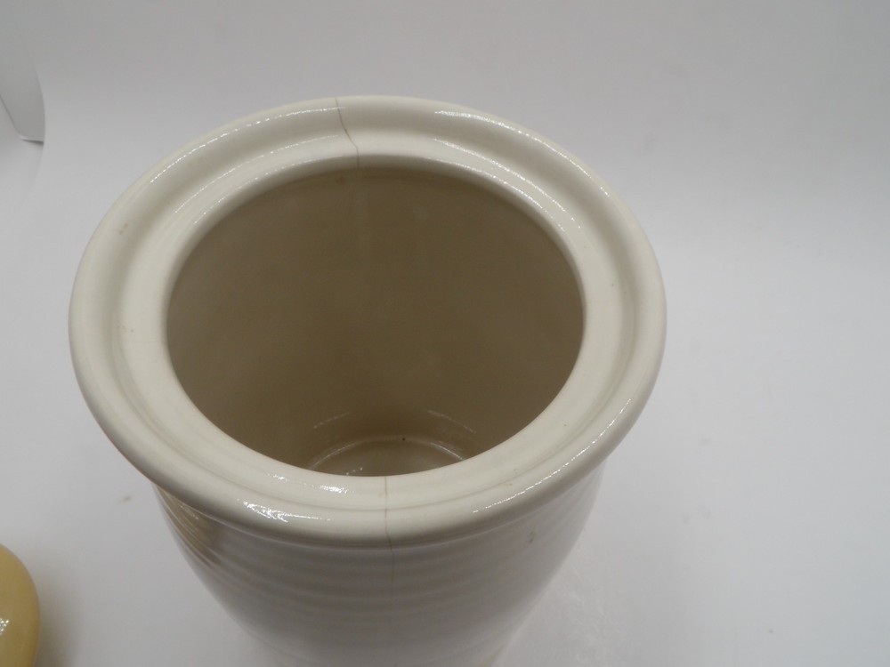 Dragonfly Design Ceramic kitchen Canister Jar