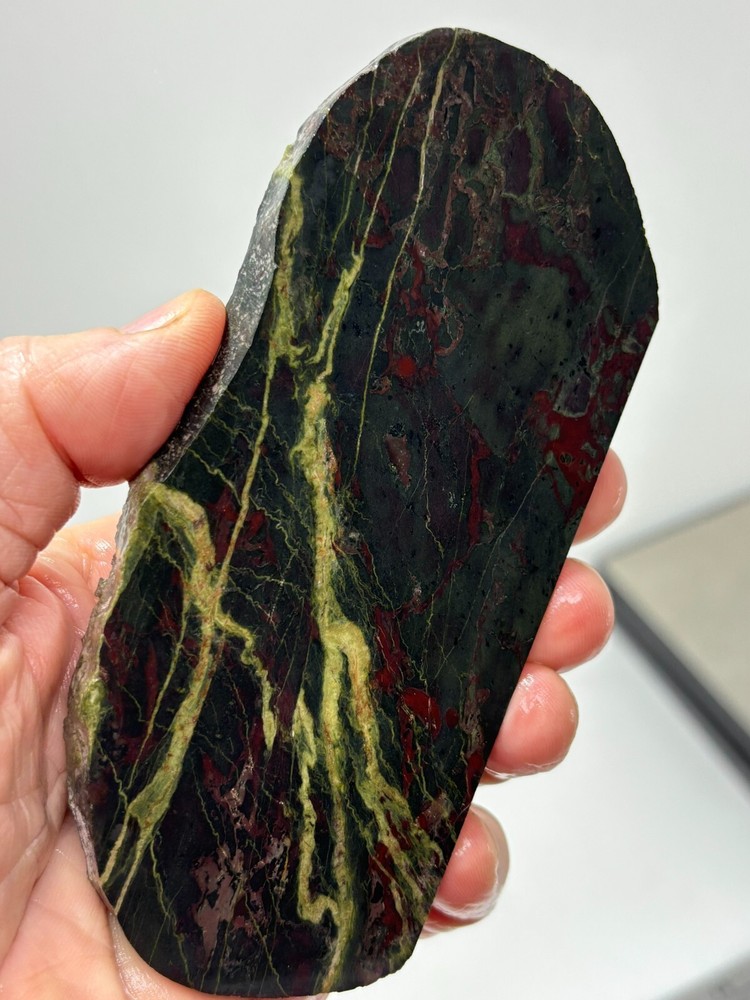 Unique Washington State Jasper Slab Cabbing Lapidary Combo Ship Avail