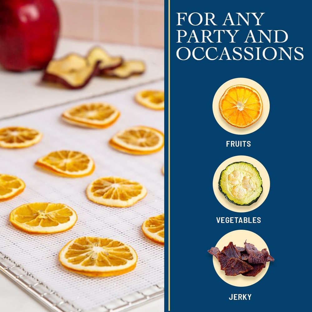 Silicone Dehydrator Sheets (12 Pack) Dehydrator Accessories