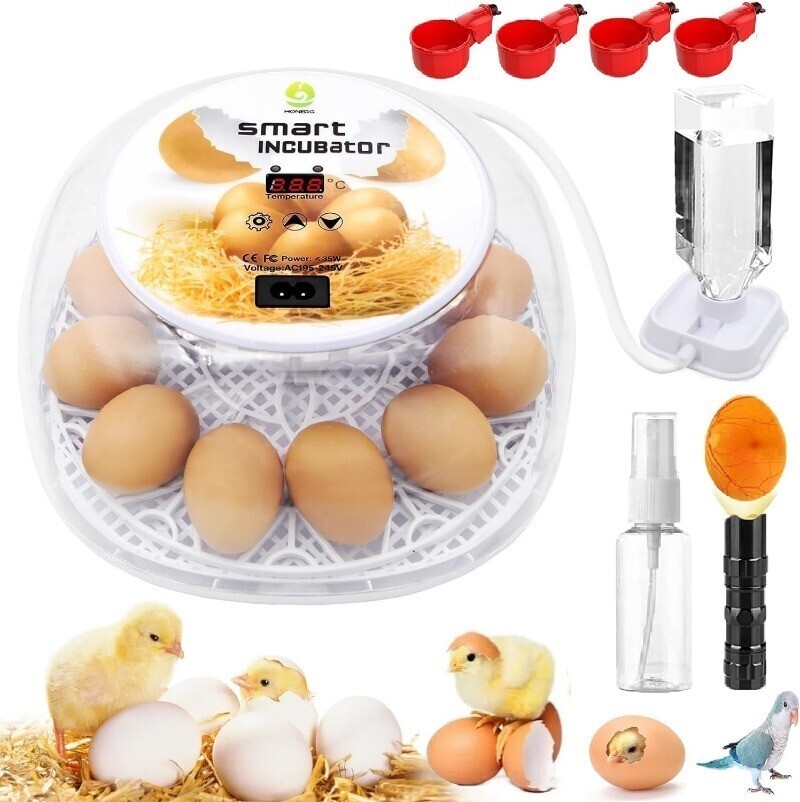 Incubators Hatching Eggs 12-24 Egg W/ Automatic Egg Turning Humidity Control New