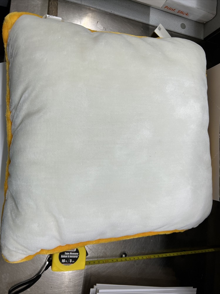 class of 2006 pillow ~16”