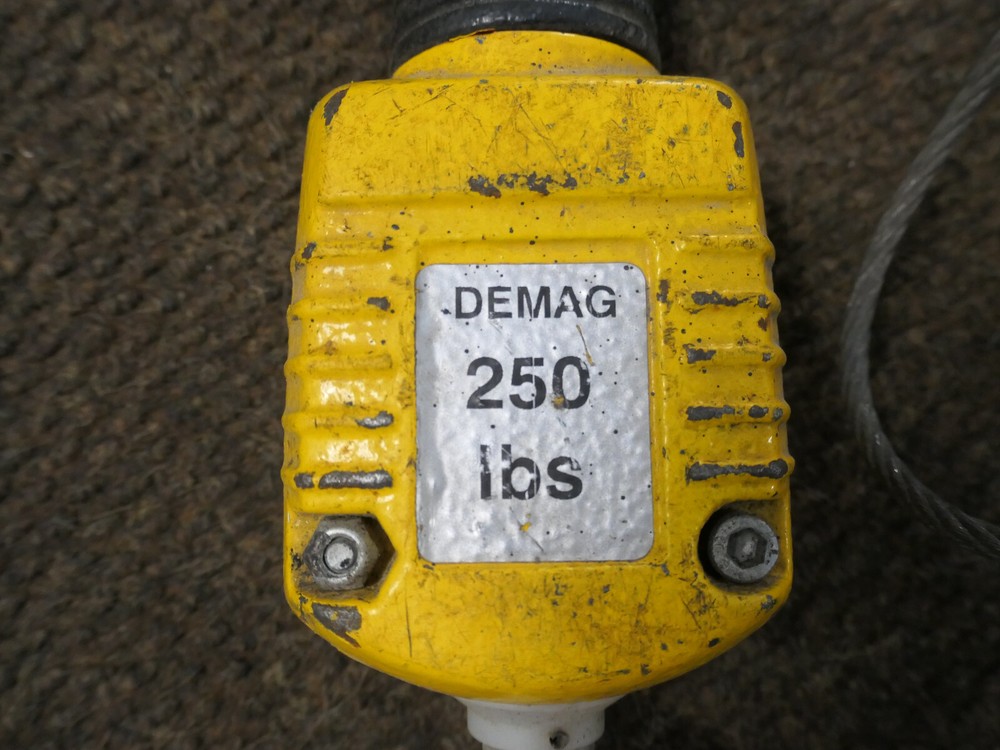 Demag 250LB Hoist