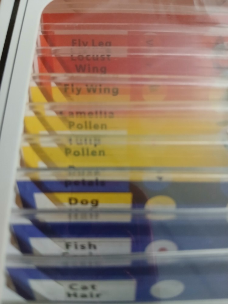 Prepared Microscope Slides (12 Kinds) Professional Type- Plant,Insect