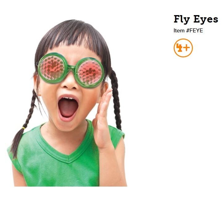 Play Visions Fly Eyes Multiple Vision Glasses Visual Sensory Processing FEYE