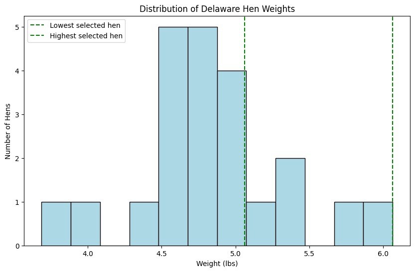 Delaware Chicken Hatching Eggs NPIP tested 12+ 2