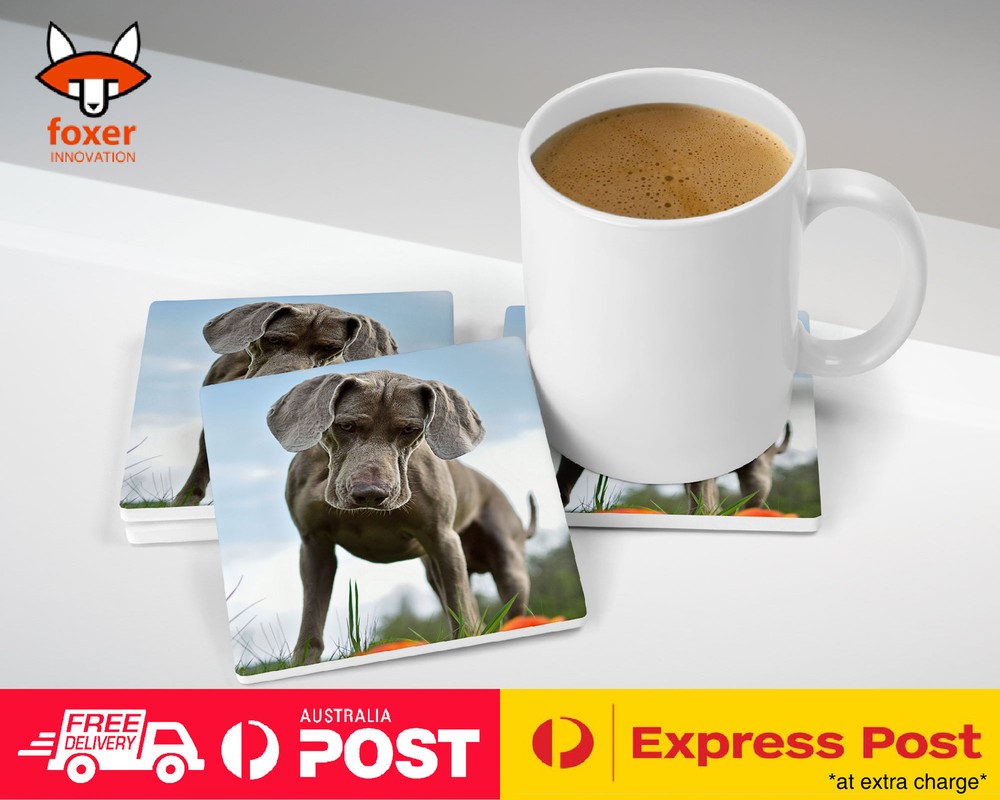 COASTER COFFEE DRINKING MAT|WEIMARANER DOG 2