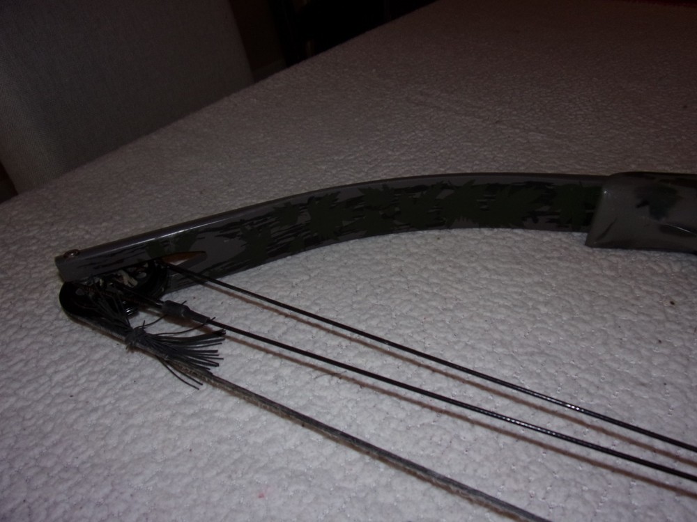 Ben Pearson Compound Bow