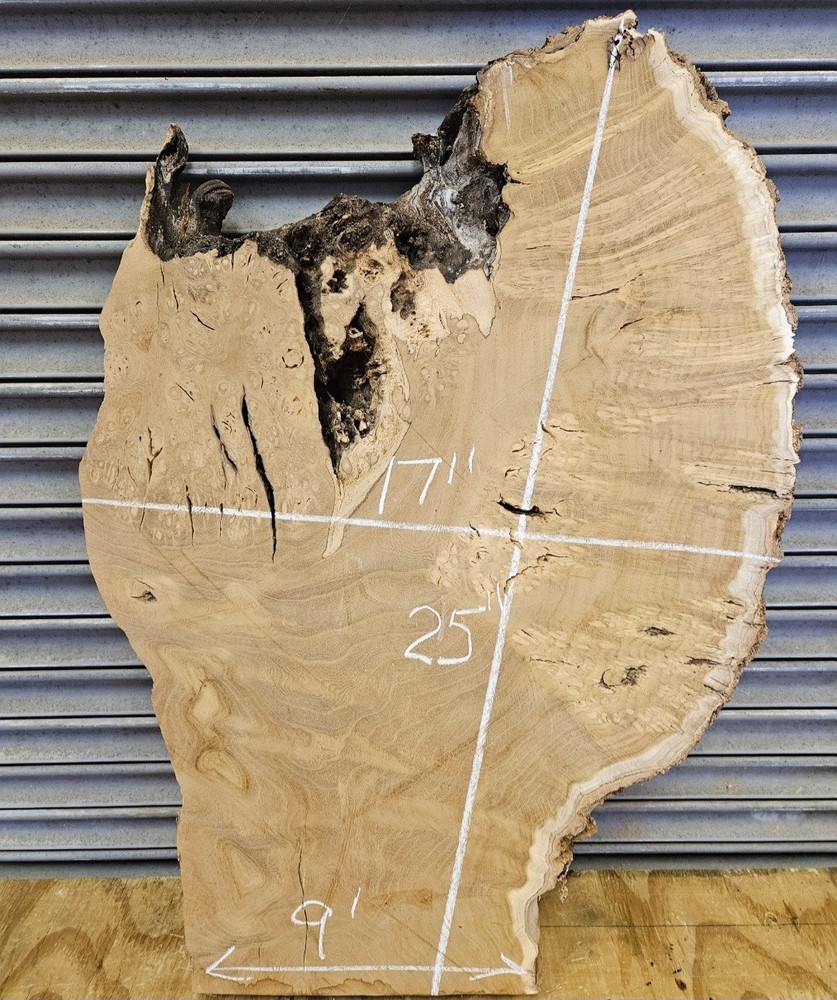 Mulberry Burl Slice
