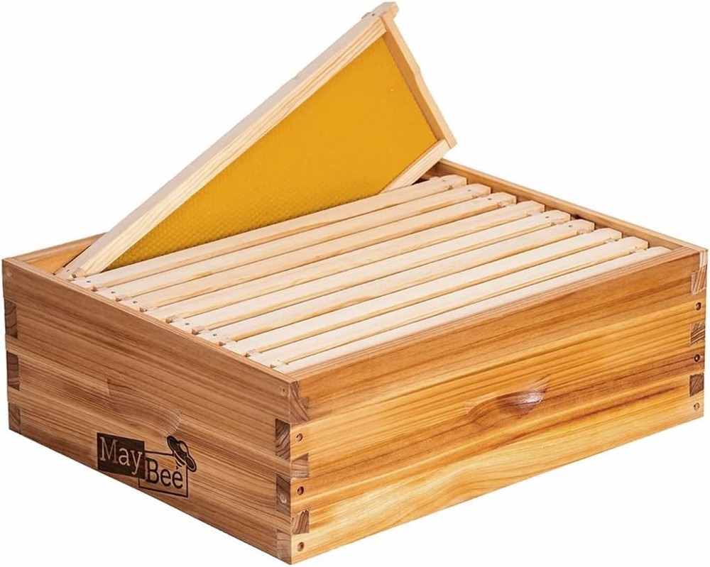 10 Frame Langstroth Medium Bee Hive Box Wax Coated Unassembled Frames Kit