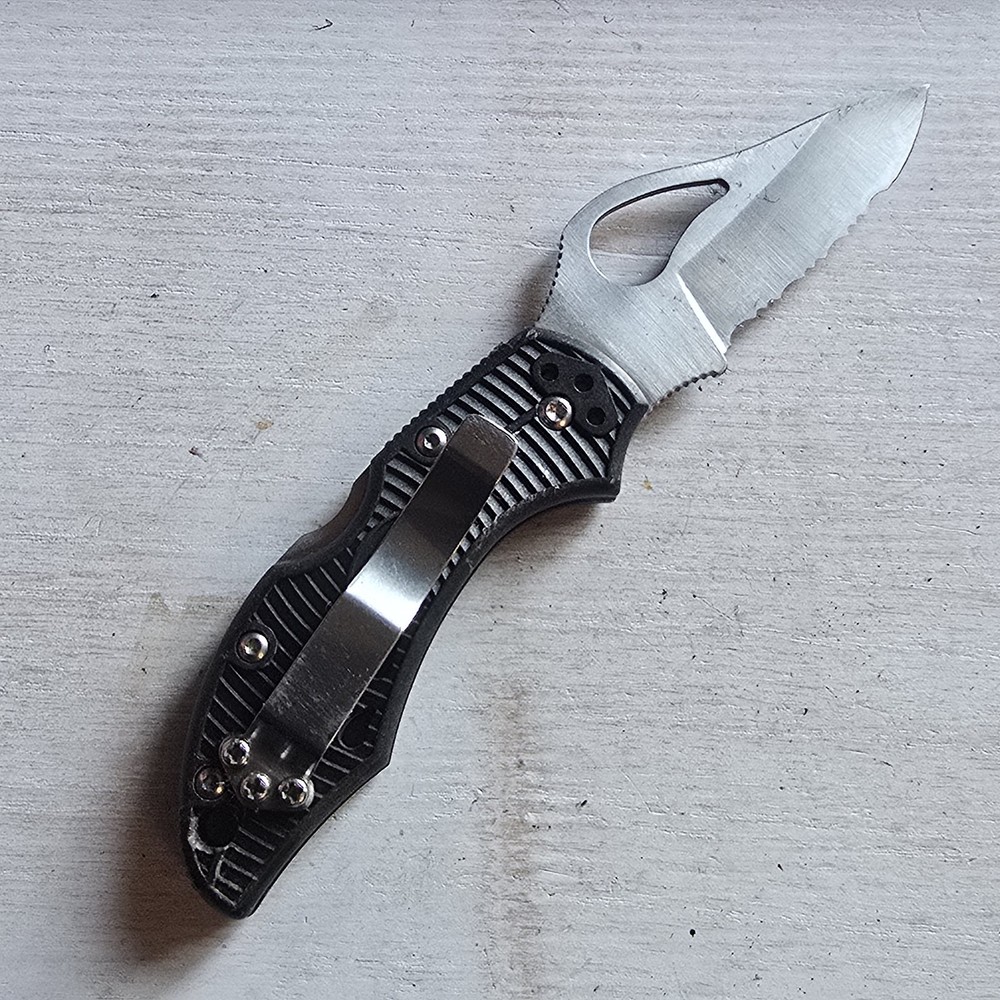 SPYDERCO BYRD ROBIN LOCKBACK KNIFE