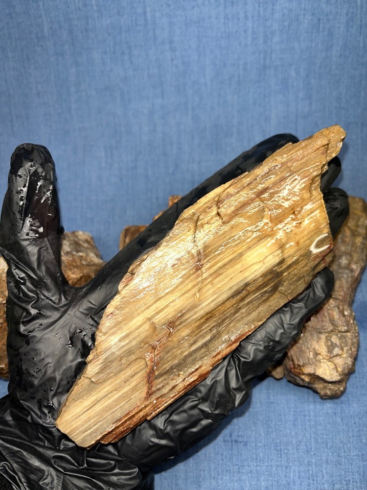 Unique chalcedony/agate specimen featuring botryoidal (bubbly) formations