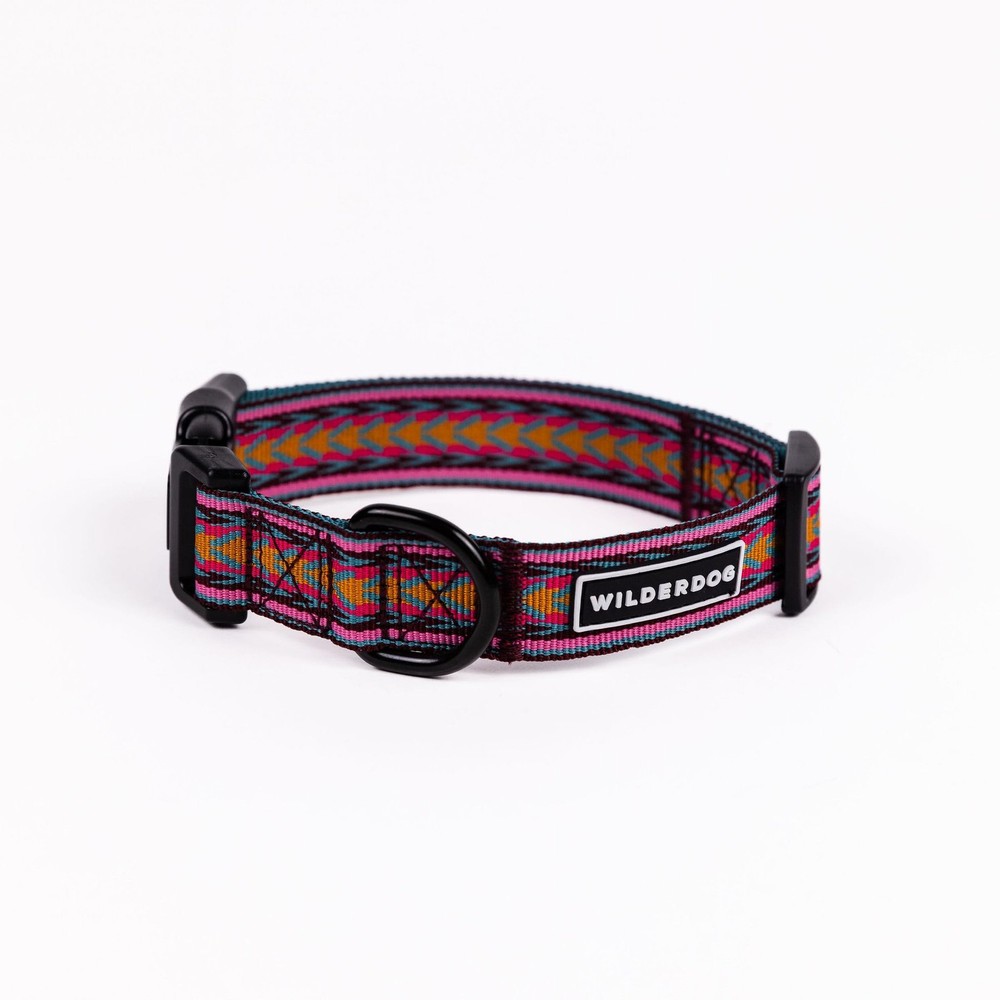 Ultralight Collar Series for Dogs - Medium - Daybreak