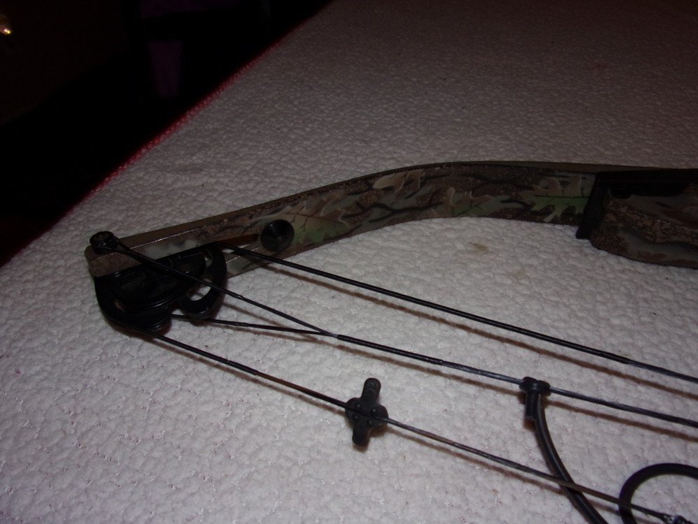 Hoyt Raptor Excel Compound Bow