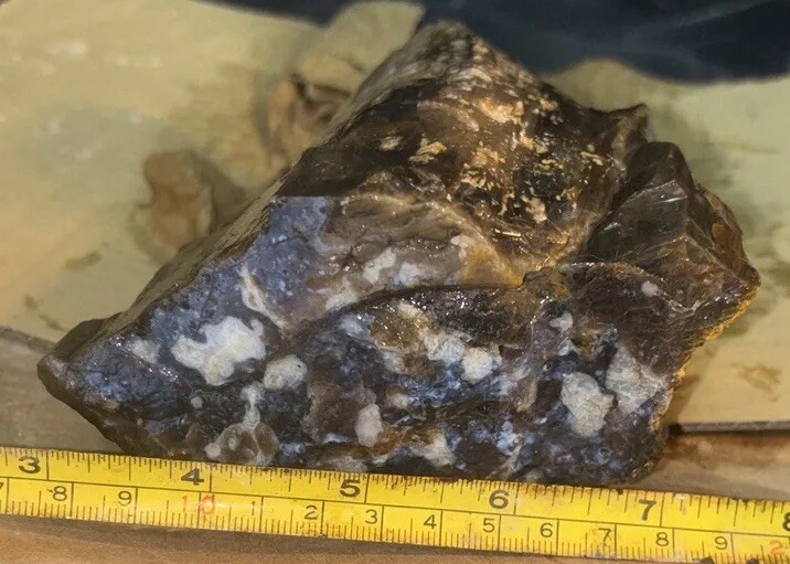 Silver Creek Junction petrified wood