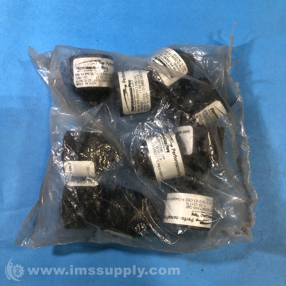 1096400 Bag of 10 Socket End Cap FNFP