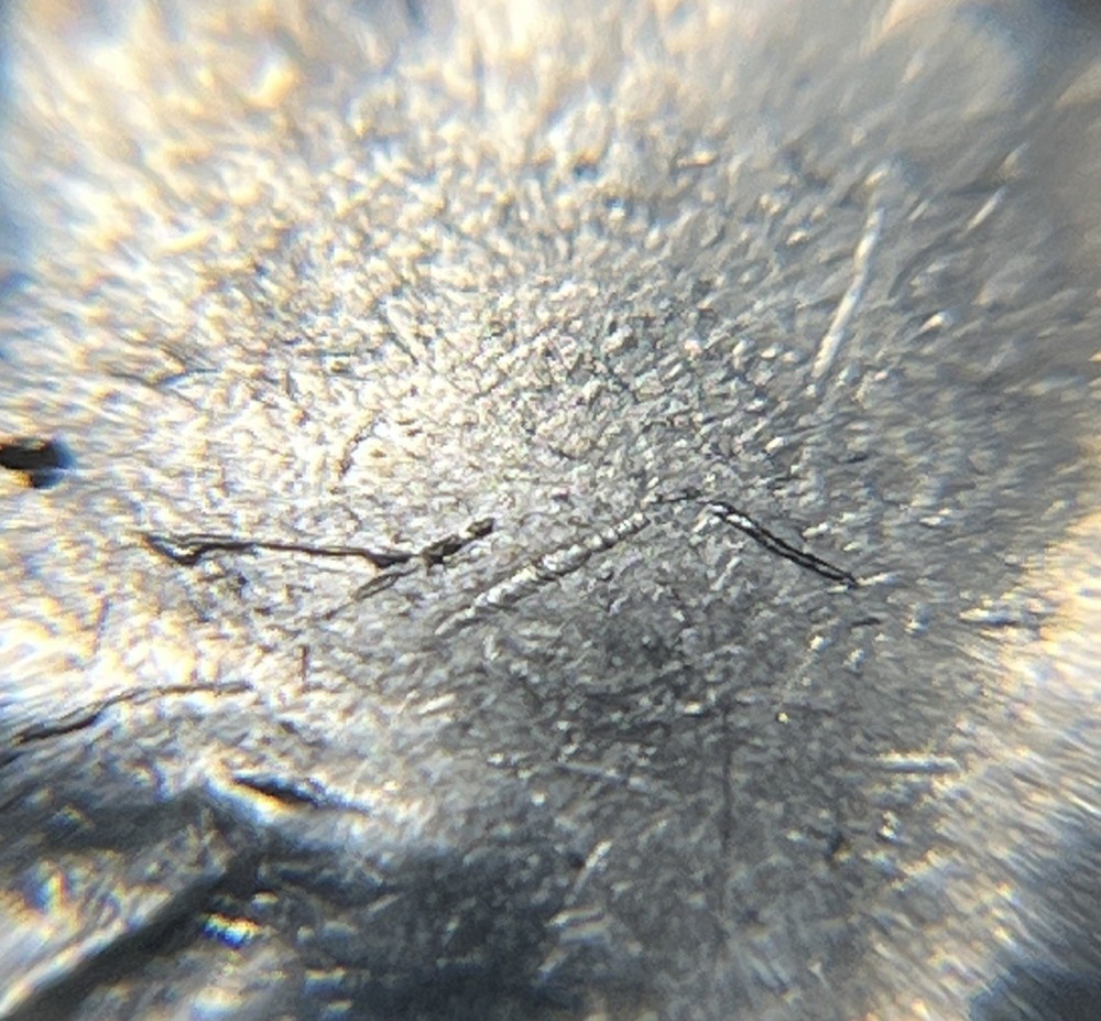 1972 P Eisenhower Ike Dollar Type 2 Die Crack Errors Wounded / Speared Eagle