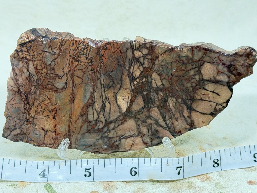 Dead Camel Jasper Slab, Lot#84