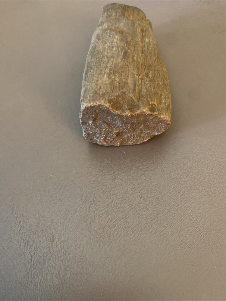Petrified Wood