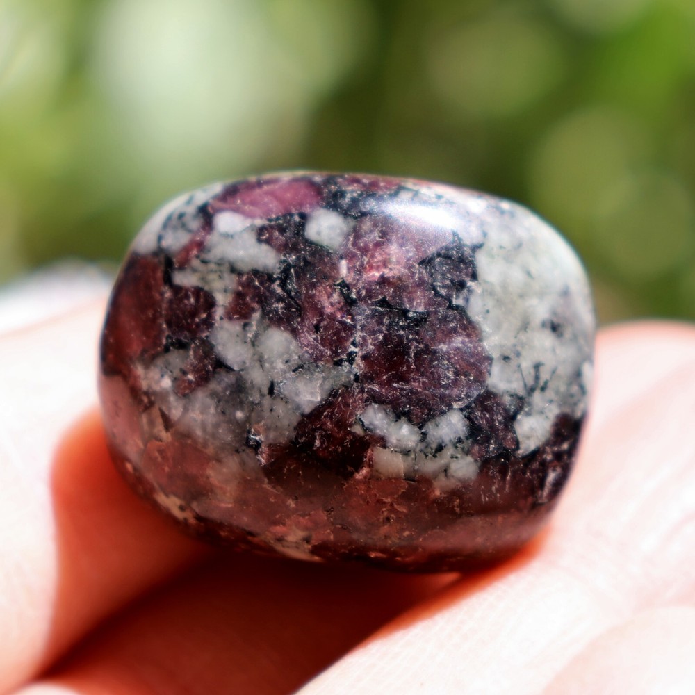 Polished Eudialyte, Fluorescent Mineral (EUD21)