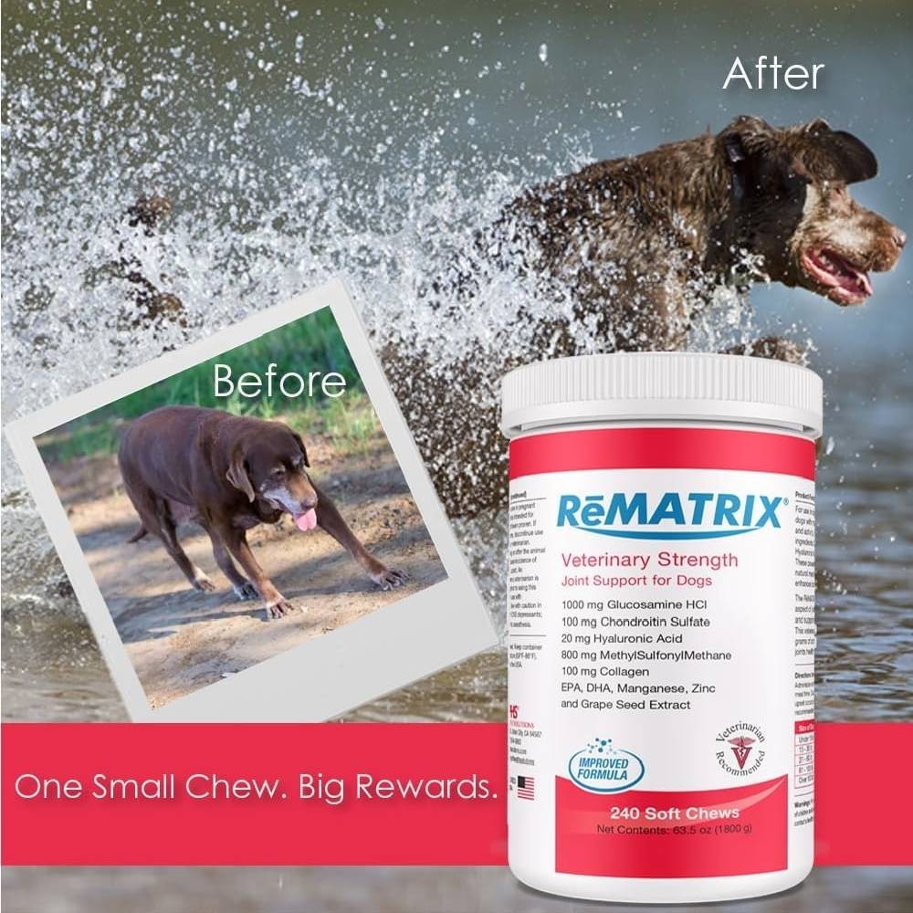 ReMATRIX Soft Chews (240 Chews)