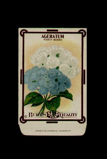 ANTIQUE 1910's BURT'S AGERATUM LITHO SEED PACKET ~L@@K~
