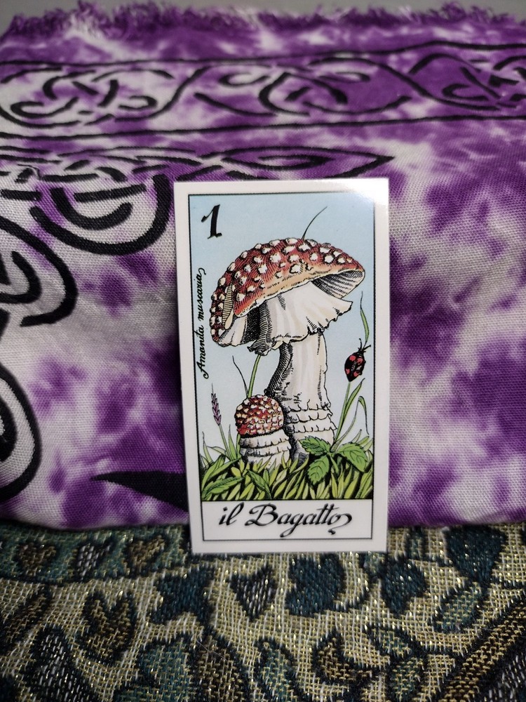 Fungus Tarot by Meneghello 1987