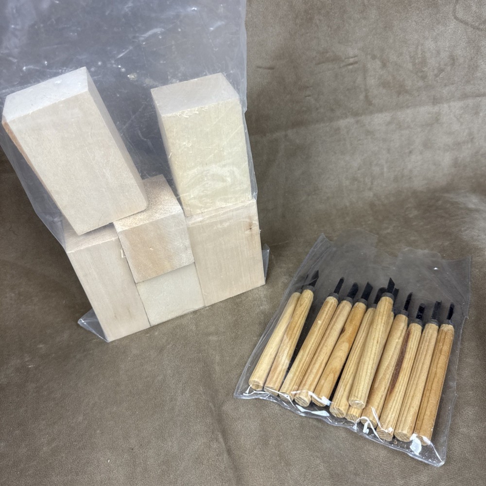 12-Piece Wood Carving Hand Chisels Set +6 WOOD BLOCKS Woodworking Gouges Tools