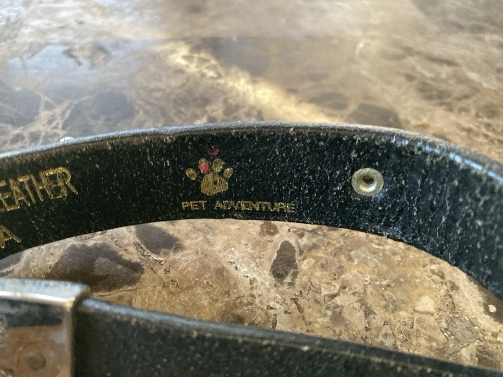 Leather 1" Snaffle Bit Belt with Nickel Snaffle Bits & Buckle 28”