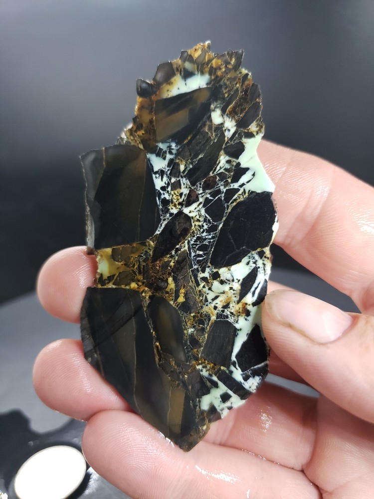 Nevada Gecko Variscite Slab