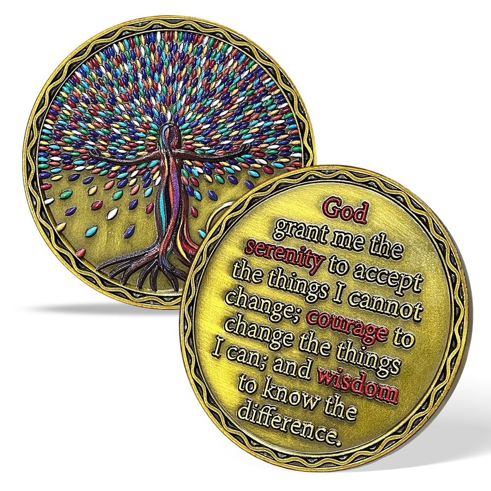 2 Year Sober Chip Alcoholics Anonymous Medallion Two Years AA Sobriety Coin Gift