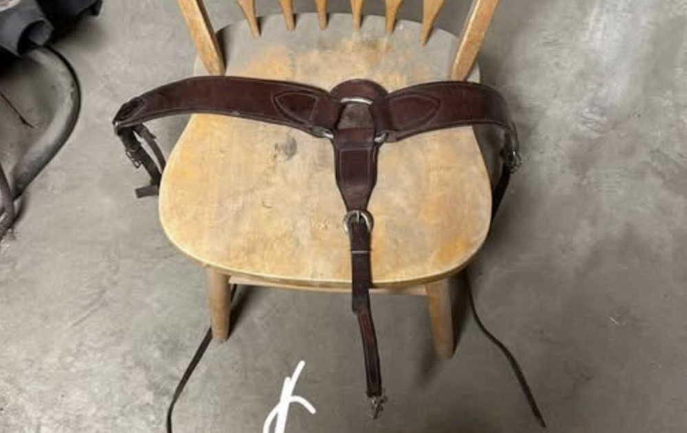 Custom made breast collar and headstall