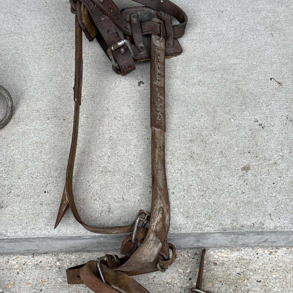 Vintage Klein Tree Climbing Spurs