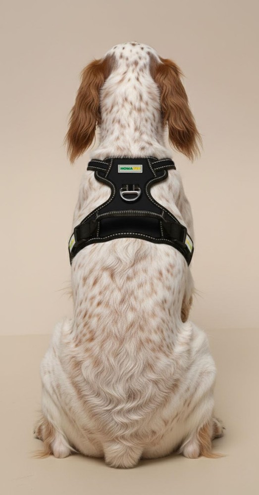. No-Pull Dog Harness with Dual Leash Attachment Points, Soft Adjustable Padd...