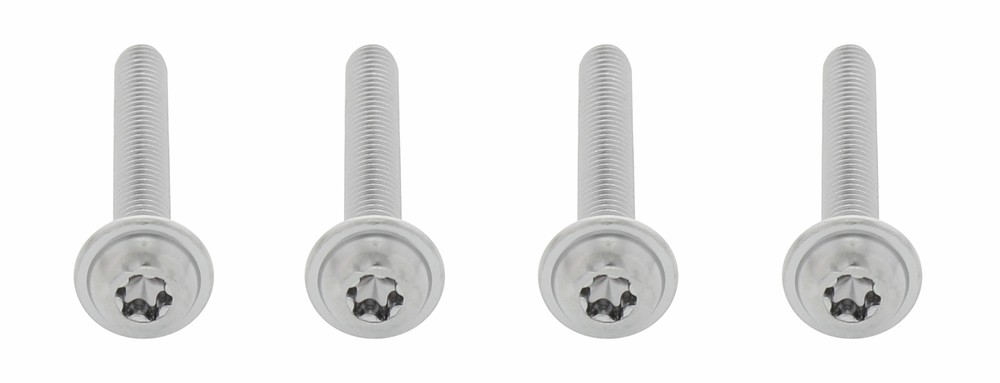 Chrome Grille Screw Set for 2008-2017 Freightliner Cascadia