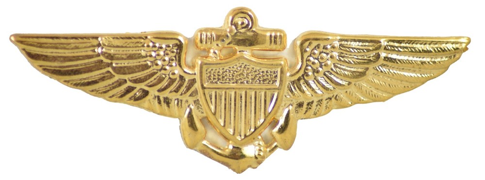 NAVY & MARINE CORPS AVIATOR WINGS HAT PIN