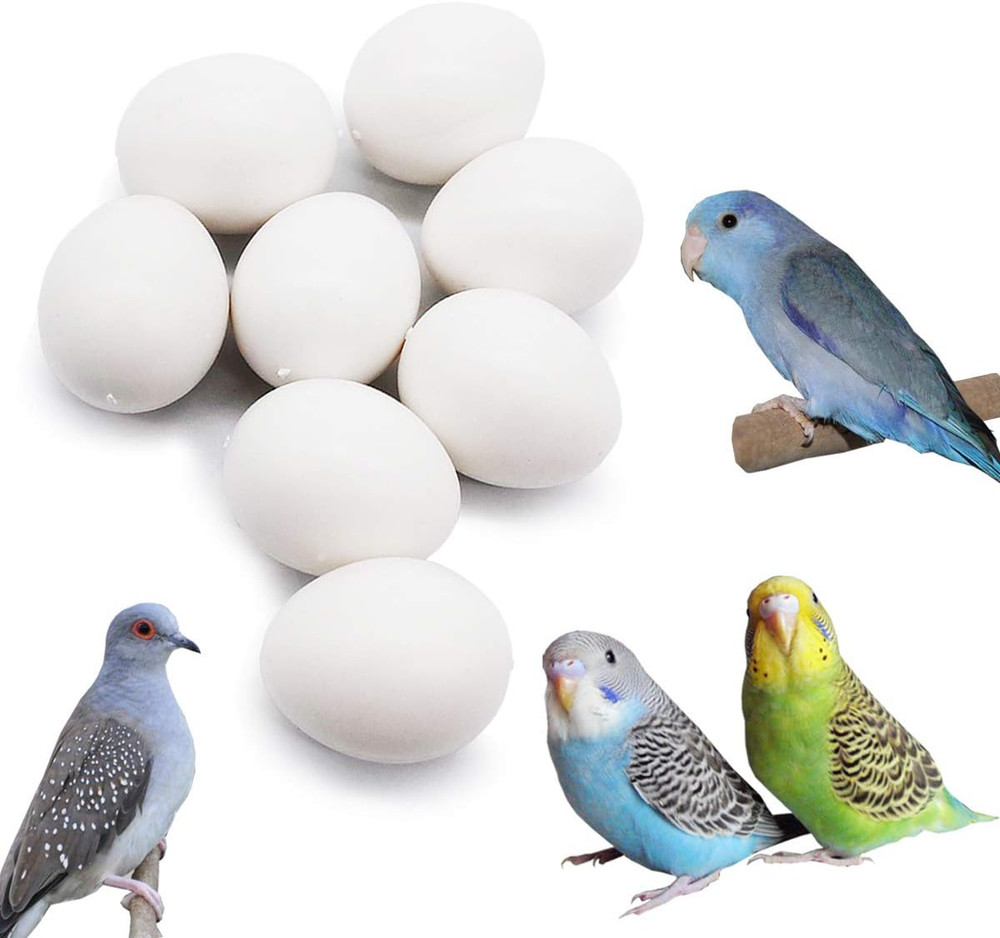 8 Pcs Solid Parrot Plastic Eggs Hatching Eggs Parrotlet，Budgie Parakeet，Diamond