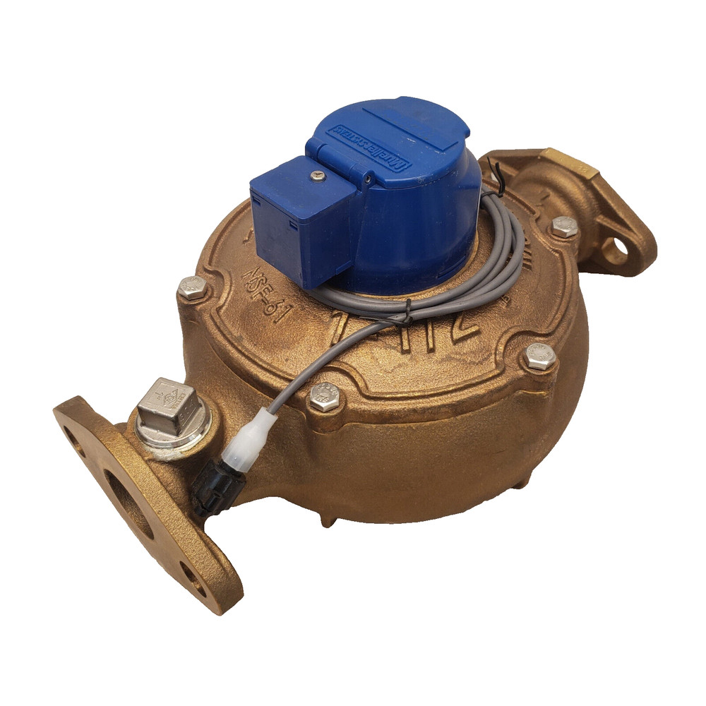 Mueller Systems WENB113C Water Meter 1-1/2" Pipe, 562, 2B, ME8 Encoder, CF, 5'CC