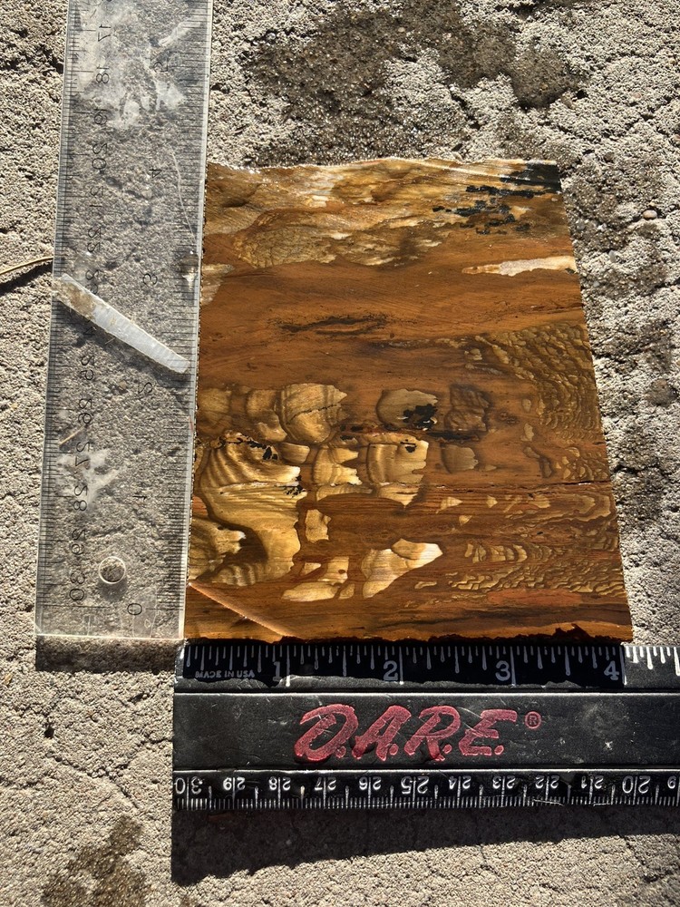 Biggs Jasper Slab (Oregon)