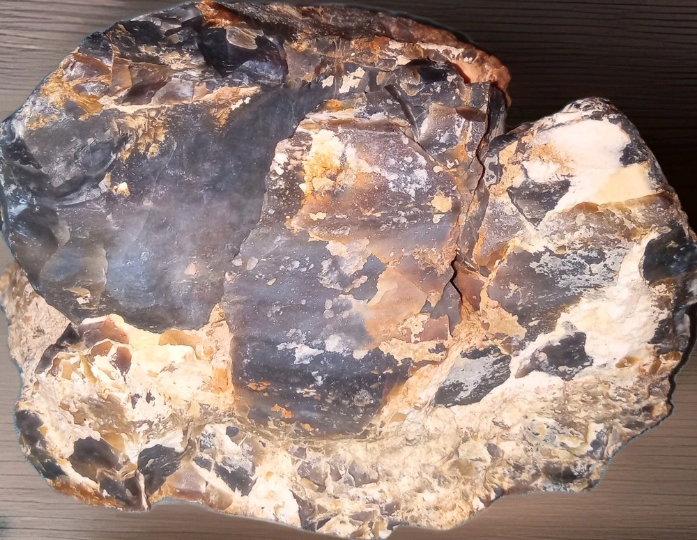 Dark Opalized Petrified Wood Rough 2 lbs