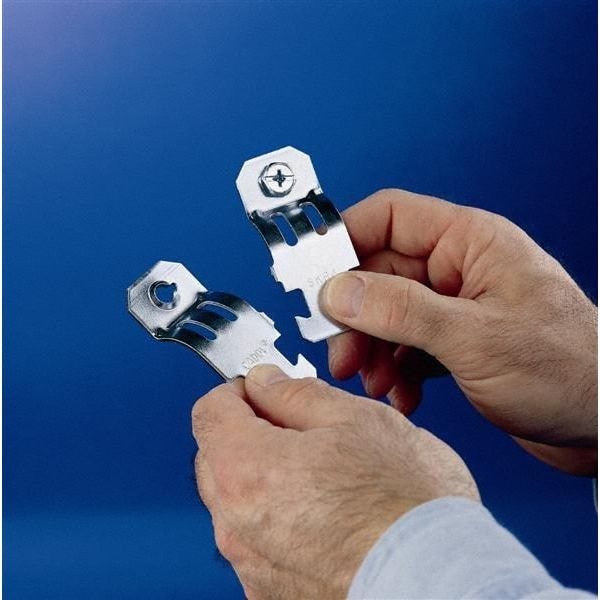 Nvent Caddy Rigd0200s4 Strut Pipe Clamp, Size 2 In