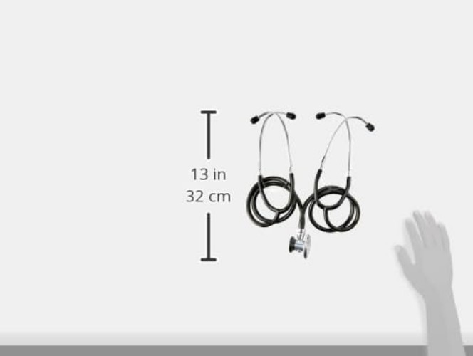 stethoscope Teaching Sprague