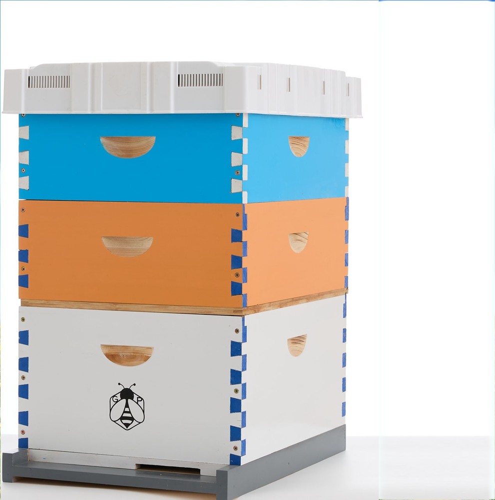 Beehive Langstroth 30 Wooden Frame Box Kit With Painting Boxes, 2 Deep 2 Medium