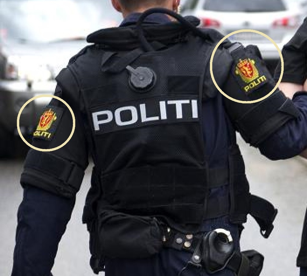 Abzeichen BGS Bundespolizei GSG 9 BPOL oder umgangssprachlich SEK velkrö PATCH