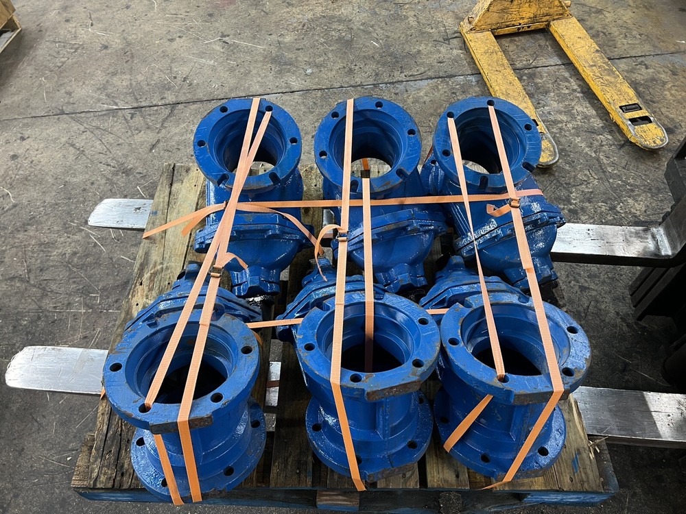 Empro C509 6" Gate Valve FOR SALE