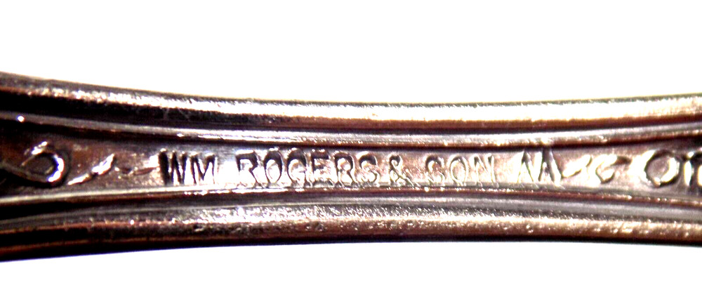 Wm Roger & Son AA Antique Sugar Nutshell Grape Pattern Silverplated Spoon